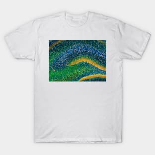 Hippocampus brain tissue (C009/5824) T-Shirt